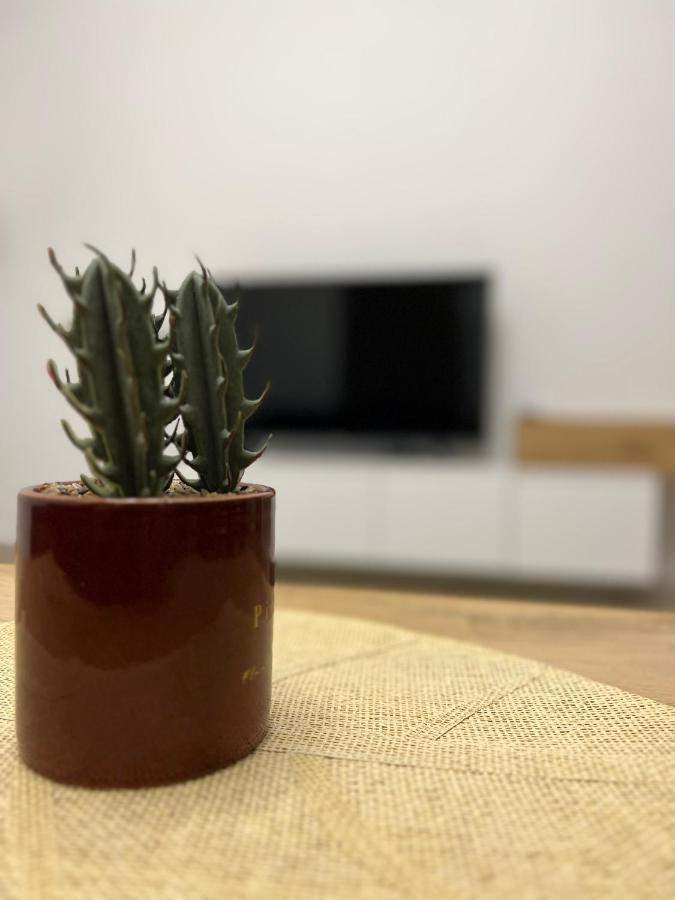 Pine Apartments At San Pietro Resort ドゥラス エクステリア 写真